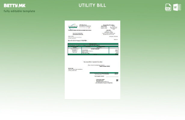 Модерен стил шаблон за комунални сметки за потрошувачи на енергија во САД Ајова